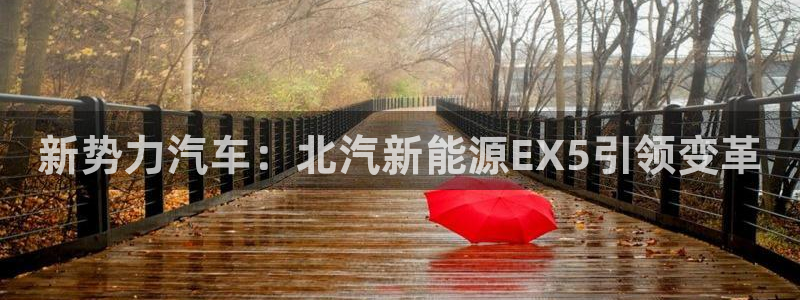 腾耀娱乐众推99840：新势力汽车：北汽