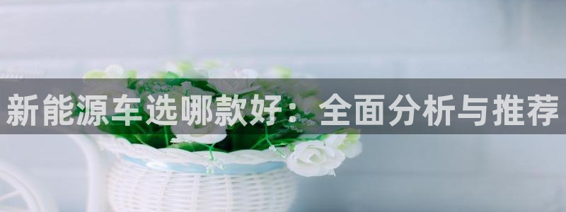 众腾娱乐客服：新能源车选哪款好：全面分析