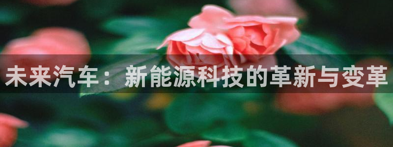 众腾娱乐登入探索无限空间