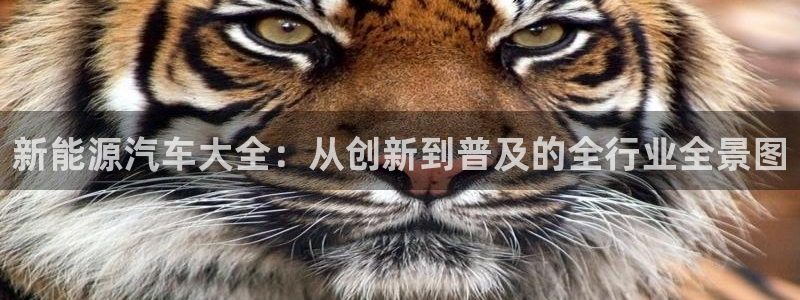 众腾娱乐官方客服电话