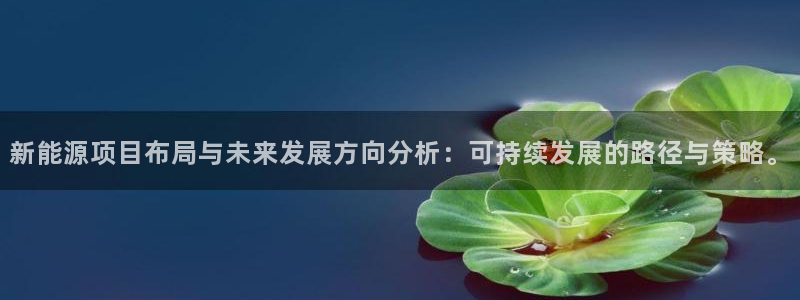 众腾娱乐蚀 7O935：新能源项目布局与