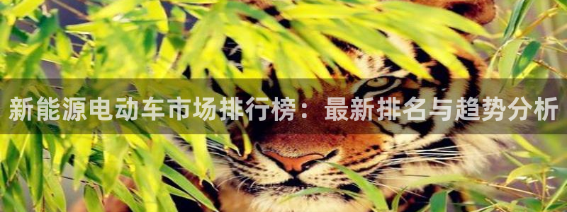 众腾娱乐蚀 7O935：新能源电动车市场