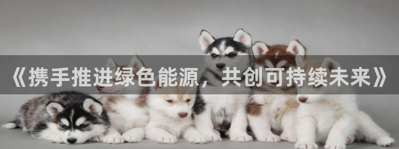众腾娱乐总代理