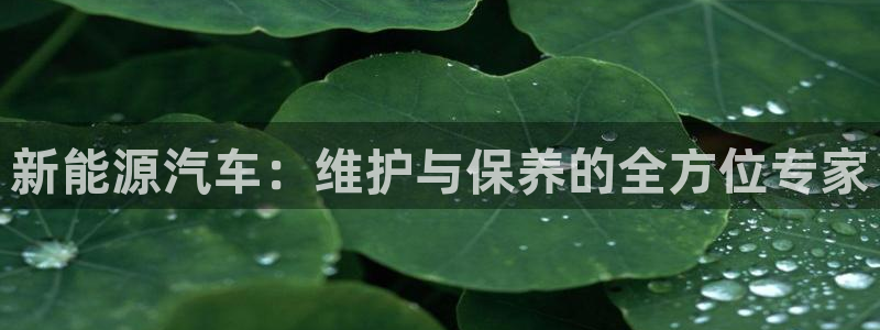 众腾娱乐招商：新能源汽车：维护与保养的全