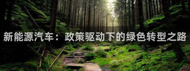 彝族自治州众腾娱乐：新能源汽车：政策驱动