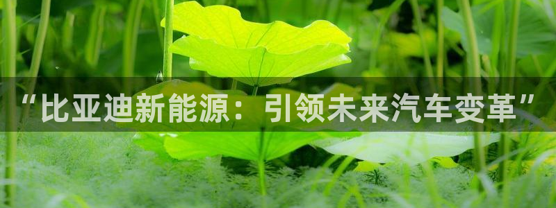 腾众娱乐:“比亚迪新能源:引领未来汽车变革”