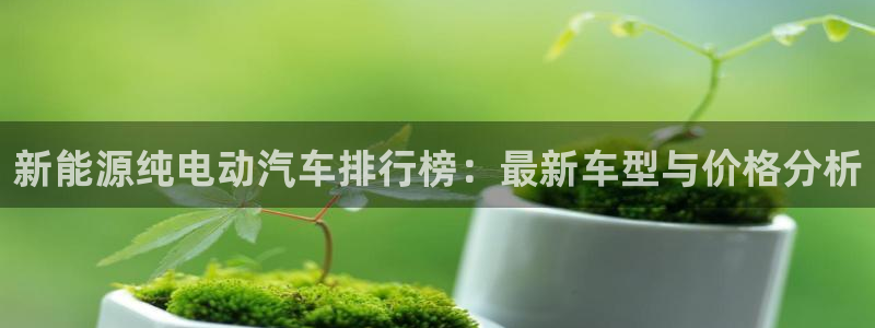 云南众腾娱乐:新能源纯电动汽车排行榜:最新车型与价格分析