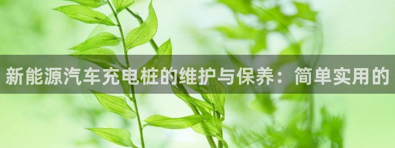 腾耀娱乐29999出众:新能源汽车充电桩的维护与保养:简单实