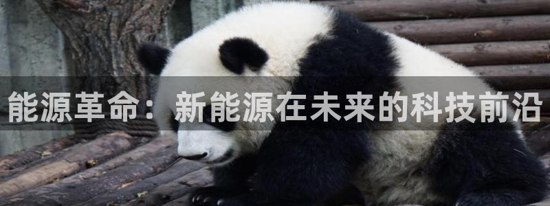 众腾娱乐平台官网入口:能源革命:新能源在未来的科技前沿