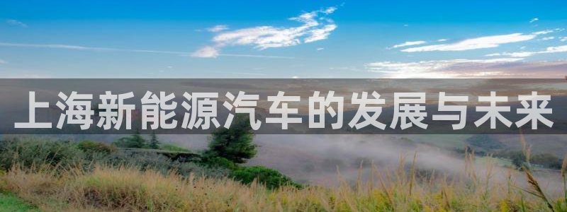 腾众娱乐的彩票靠谱吗:上海新能源汽车的发展与未来