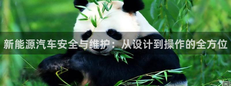 腾耀娱乐众推55312:新能源汽车安全与维护:从设计到操作的