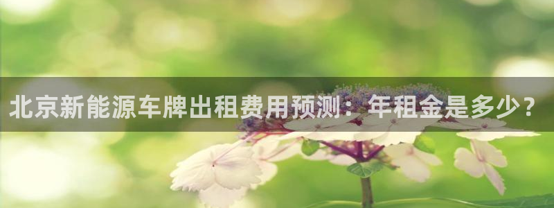 腾众娱乐:北京新能源车牌出租费用预测:年租金是多少?