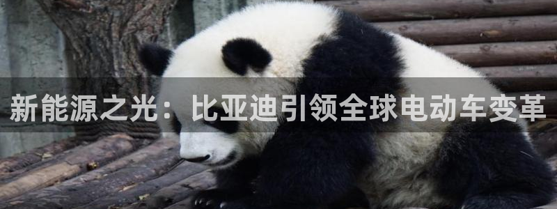 众联别墅g座上腾娱乐有限公司