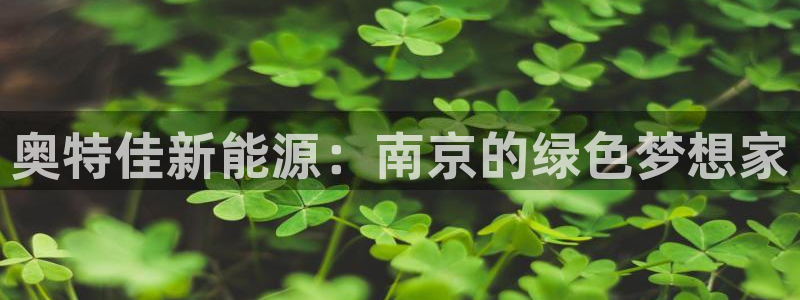楚雄众腾娱乐在哪里