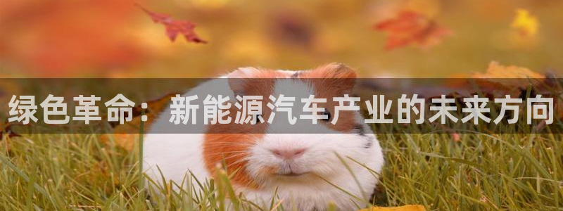 腾耀娱乐众320059：绿色革命：新能源