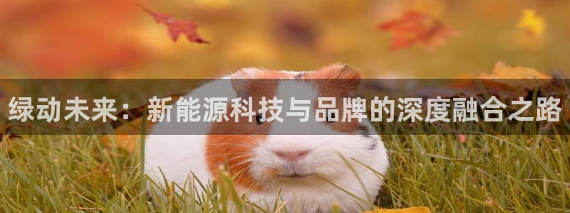众腾娱乐公司简介