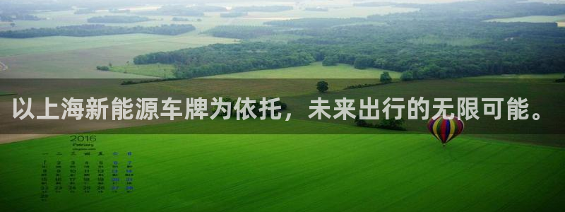 腾众娱乐是个啥：以上海新能源车牌为依托，