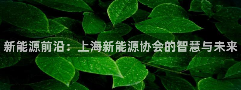 腾众娱乐彩票：新能源前沿：上海新能源协会