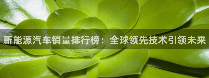 众腾娱乐招商：新能源汽车销量排行榜：全球