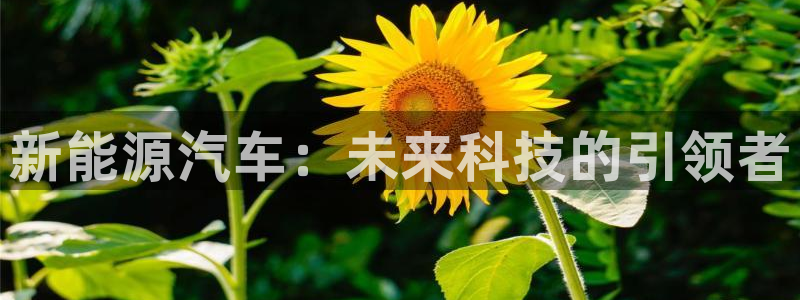 众腾娱乐毕 7O935：新能源汽车：未来