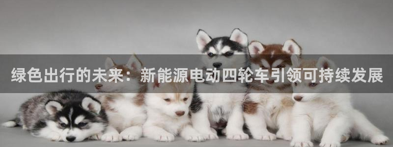 腾众竞技娱乐：绿色出行的未来：新能源电动